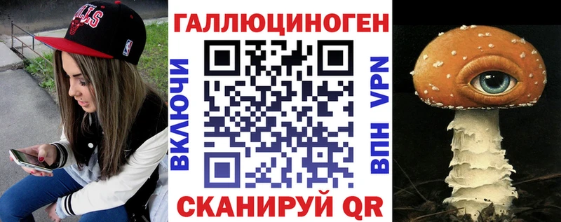 darknet Telegram  дарнет шоп  Щучье  Галлюциногенные грибы Psilocybine cubensis 